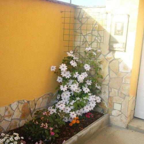 Kustánygyöngye Vendégház Kehidakustány Exterior foto